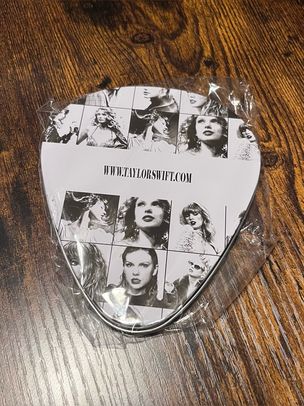 Taylor Swift Eras Tour Coasters